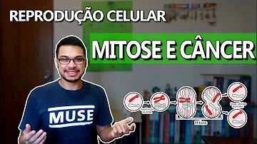 O que o câncer tem a ver com ciclo celular?