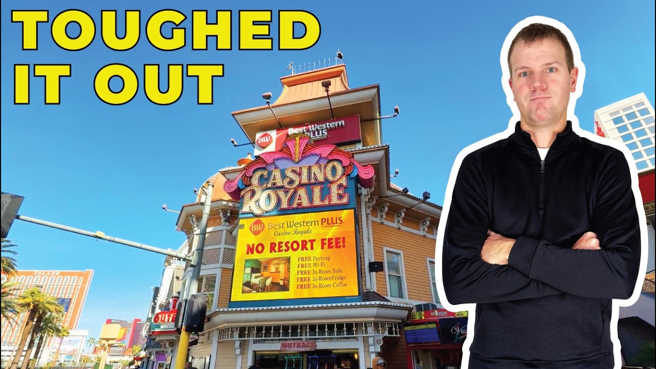 Casino Live Experience