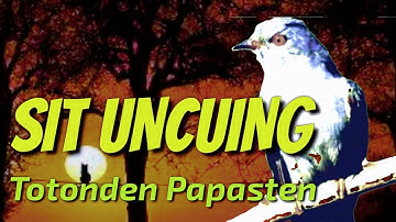 Dongeng Misteri Sit Uncuing | Dongeng Misteri Sunda d