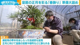 皇居の正月を彩る「春飾り」の準備作業が大詰め(2021年12月22日)