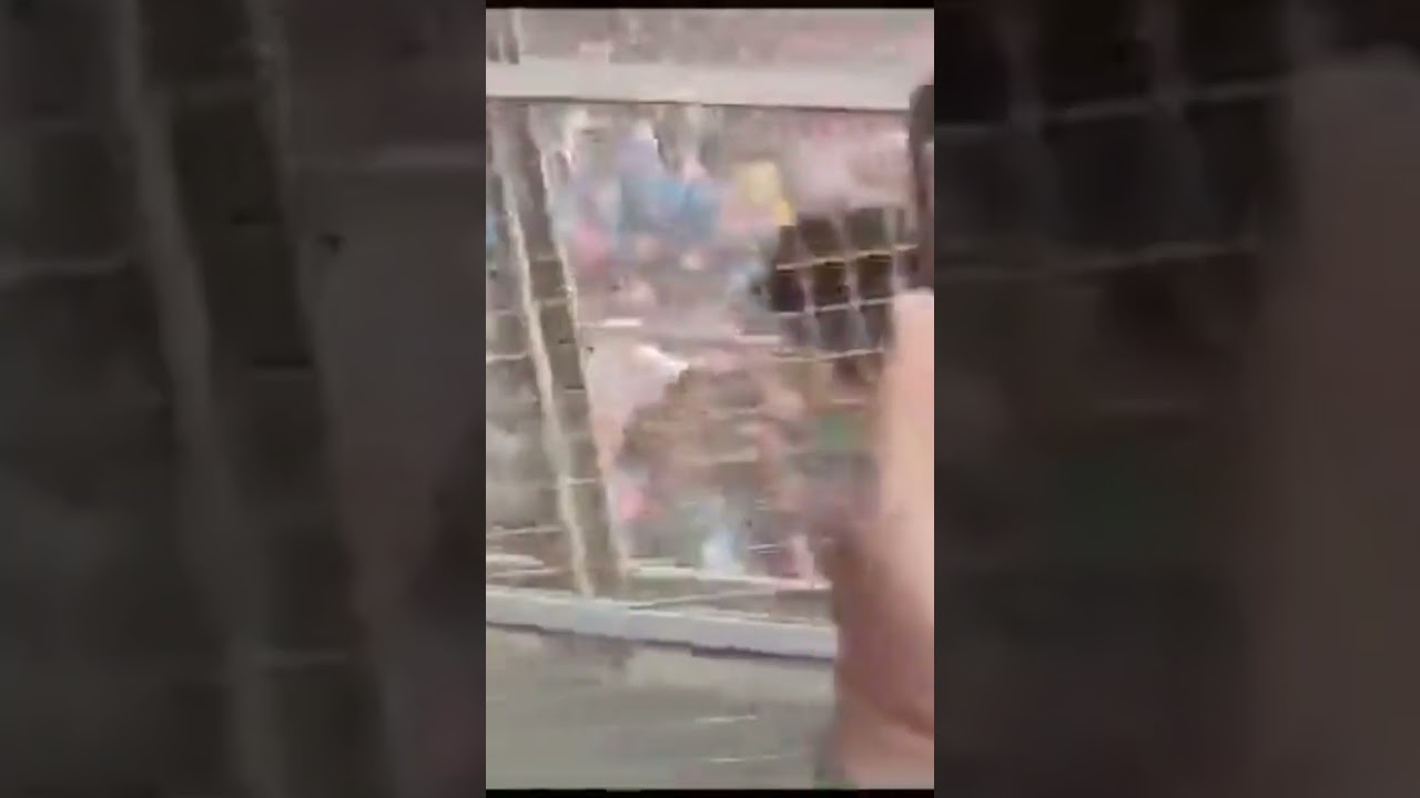 When Rizwan got out, Crowd chanting "Jai Shri Ram". This is befitting reply to him. 