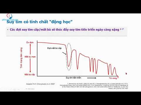 Video: Suy tim sung huyết (CHF) ở chó