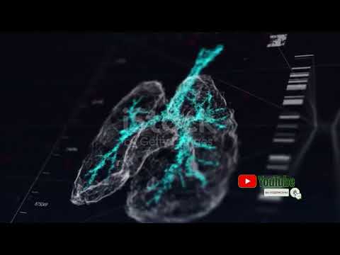 Аускультация легких-Везикулярное дыхание