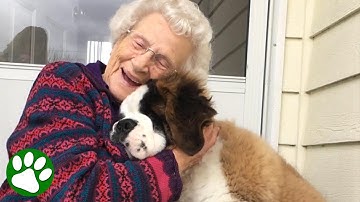 Lonely WIDOW found joy again when an unexpected visitor stopped by