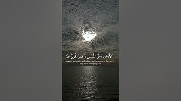 {ٱلَّذِينَ صَبَرُواْ وَعَلَىٰ رَبِّهِمْ يَتَوَكَّلُونَ} قراءة سورة النحل 💗💗