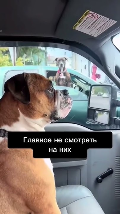 Переходи в наш телеграмм #темки #темщик #мем - YouTube