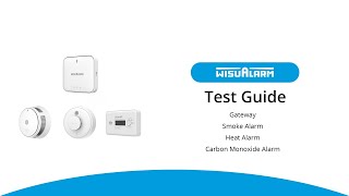 How to test the connection between gateway and other interlinked detectors?