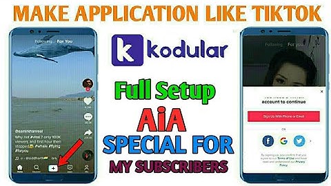 Make a Application Like Tiktok | Special Aia | In Kodular , appybuilder In hindi || Earn 100$ Daily