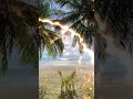 Tropical Love – Calm Ocean Vibes 🌴🌊