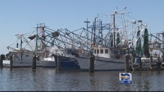Local woman speaks on BP oil spill impact