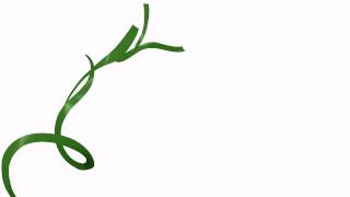 Anim8or test: growing plant demo