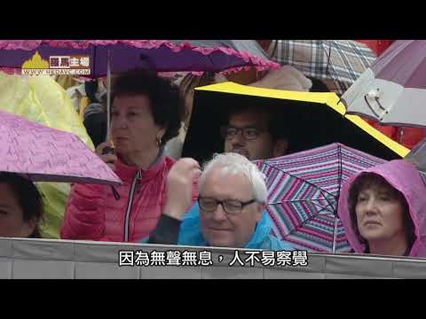 教宗論寬恕： 面對困難，緊記生命是恩賜