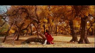 Hero - Ying Xiong - 英雄 - 720p HD - Subtitled Subtitulado