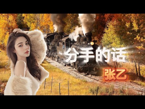 Fen Shou De Hua  /分手的话 / 张乙