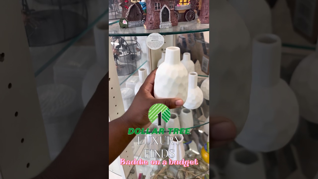 DOLLAR TREE LUXURY FINDS 