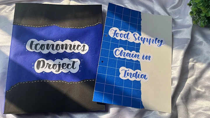 Economics project on food supply chain in india | Class 12 