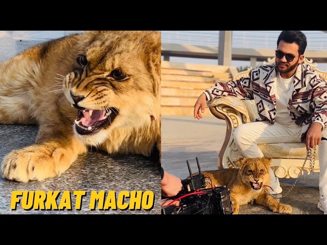 Furkat Macho Yalla habibi klip jarayon 2
