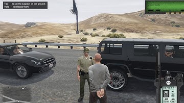 COPS: In The LSPDFR Matrix, 5