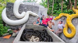 Brave Soldiers Use High-Tech Snake Detectors to Locate Giant Python Nest