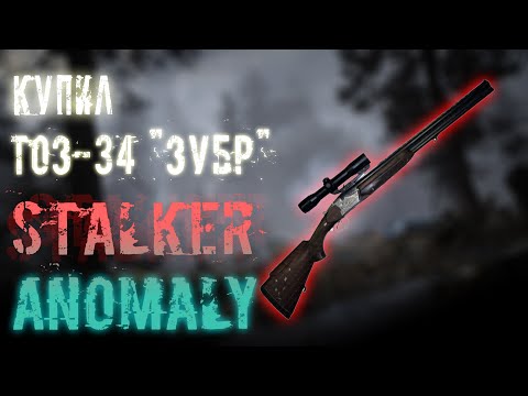 КУПИЛ ТОЗ-34 "ЗУБР" | STALKER Anomaly #3