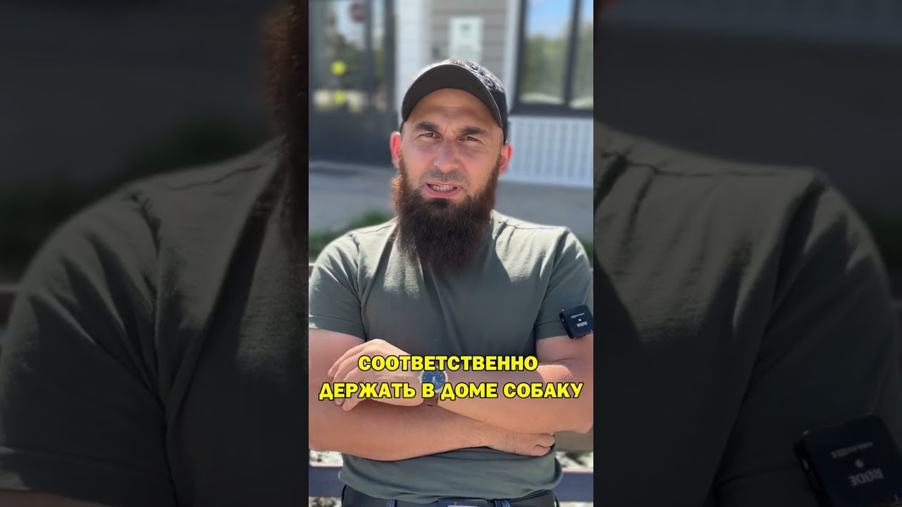 Собака в Исламе