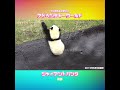 モートに転がり落ちる🐼 #彩浜 #アドベンチャーワールド #shorts
