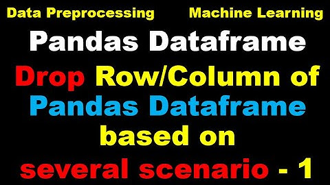 Python Pandas Tutorial | Drop Rows and Columns of a Pandas Dataset - P1