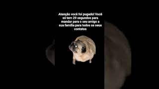 gfgg1yuvtvrvtvuvj uft