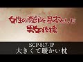 【ゆっくり解説】 秘封が暴くSCP pt.78 【暖回】