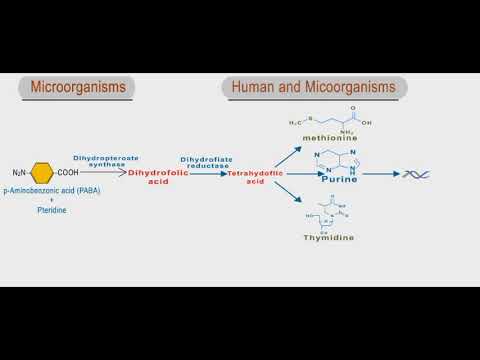 Sulfonamides and trimethoprim animation: folic acid inhibitors - YouTube