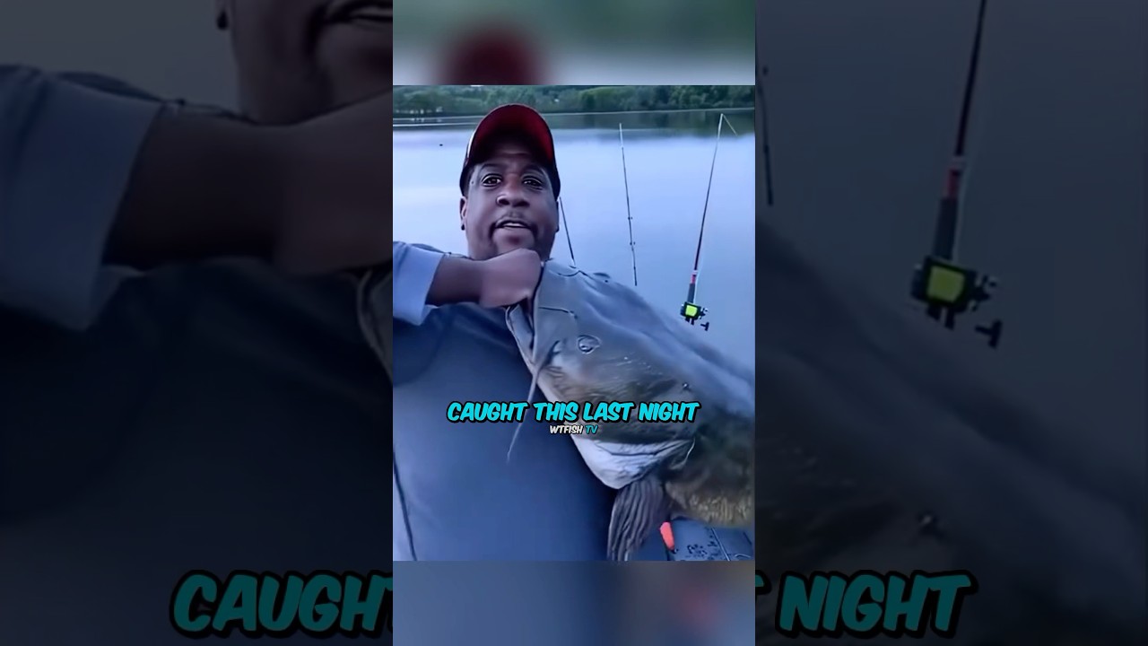 Поймали прошлой ночью?💀
