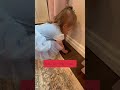 Floor Vent + Insert [Lite]: The Child-Proof + Modern Upgrade