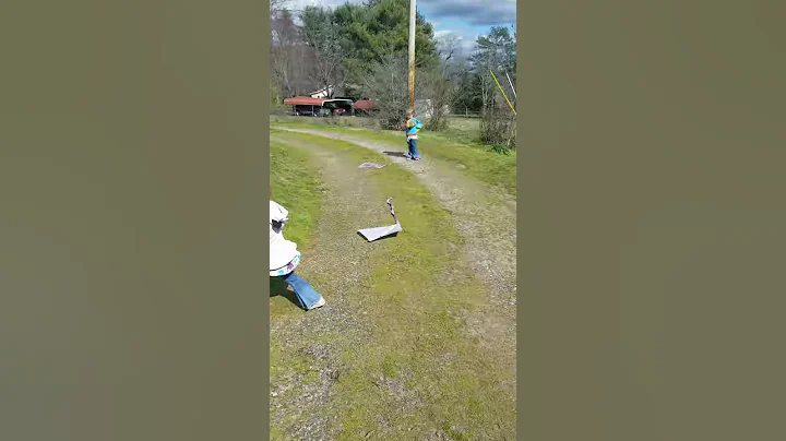 Kites(5)