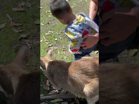 Caversham Wildlife Park