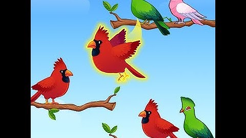 Bird Sort - Color Puzzle - Made In Unity3D Game