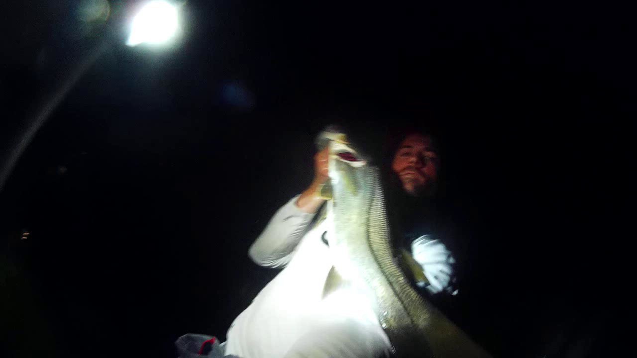 How to Catch Snook, Snapper at Night Tampa Bay Kayak Fishing YouTube