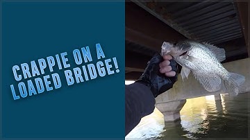 🎣 Crappie Fishing - Bridge is loaded!
