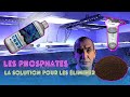 Liminer ou rduire les taux de phosphates dans laquarium rcifal grce  ces conseils