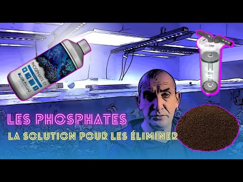 Vidéo: Comment Contrôler Et éliminer Les Phosphates Dans Votre Aquarium