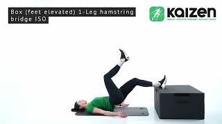 Box (feet elevated) 1-Leg hamstring bridge ISO