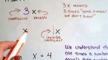 Grade 7 Math #6.2b, One as a coefficient or "the lonely variable "