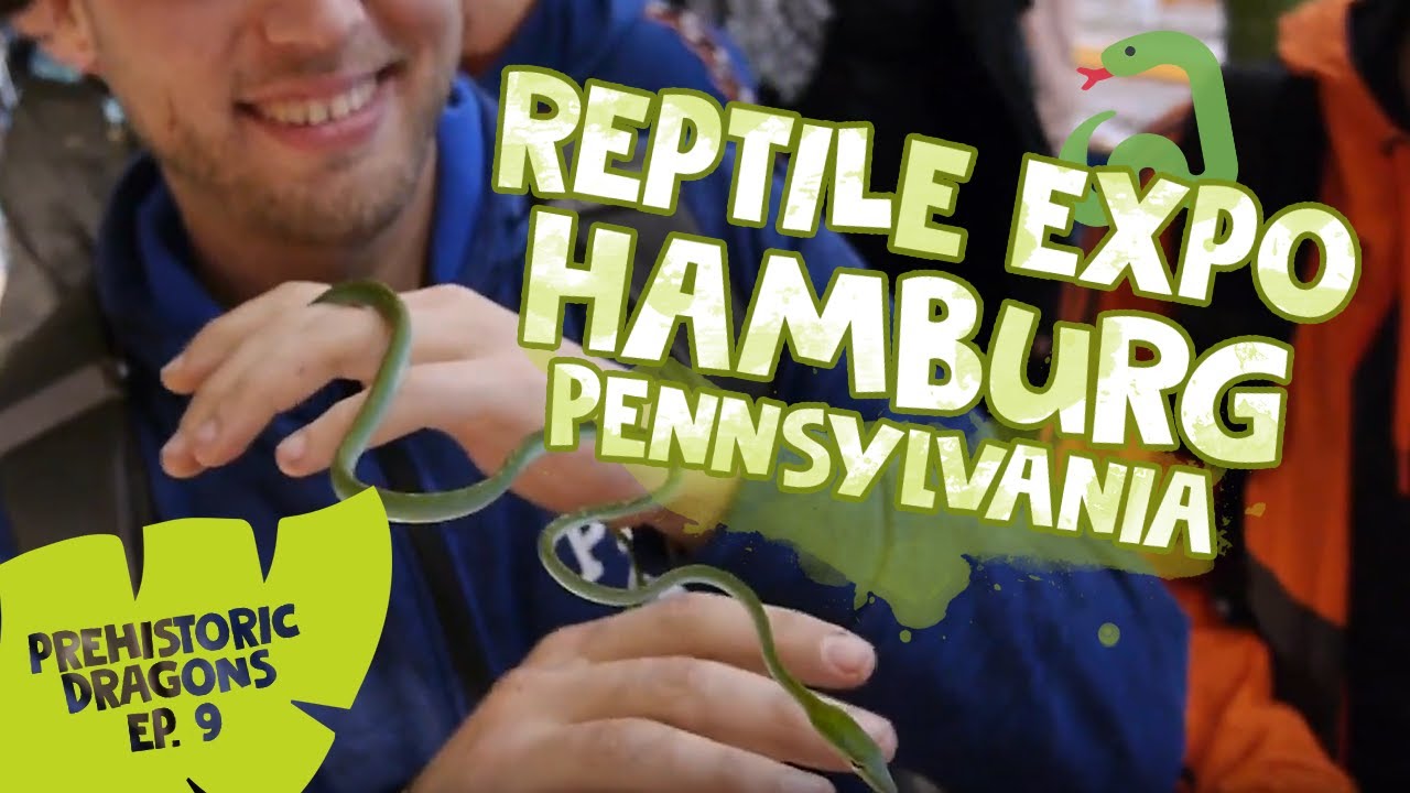 PD EPISODE 9 REPTILE EXPO HAMBURG PENNSYLVANIA!! YouTube