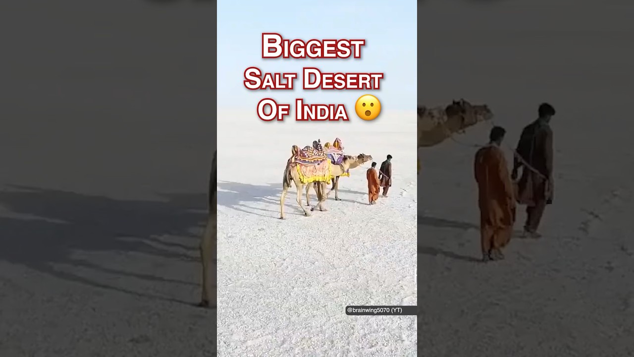 Desert full of salt?🤯 #kutch #gujarat #shortsindia