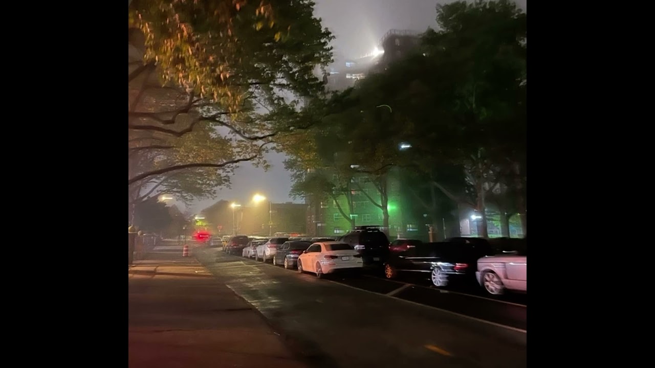 Shaggy rilla x jb.sdub - 2 step with the g