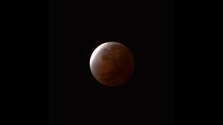 Lunar Eclipse Time Lapse - November 2021 Noticias