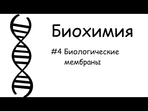 #4_Биологические мембраны