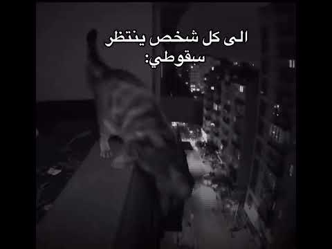 الى كل من ينتظر سقوطي