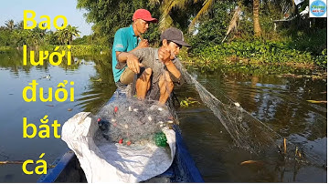 256 | Bao lưới đuổi cá trong đám lục bình | Fishing