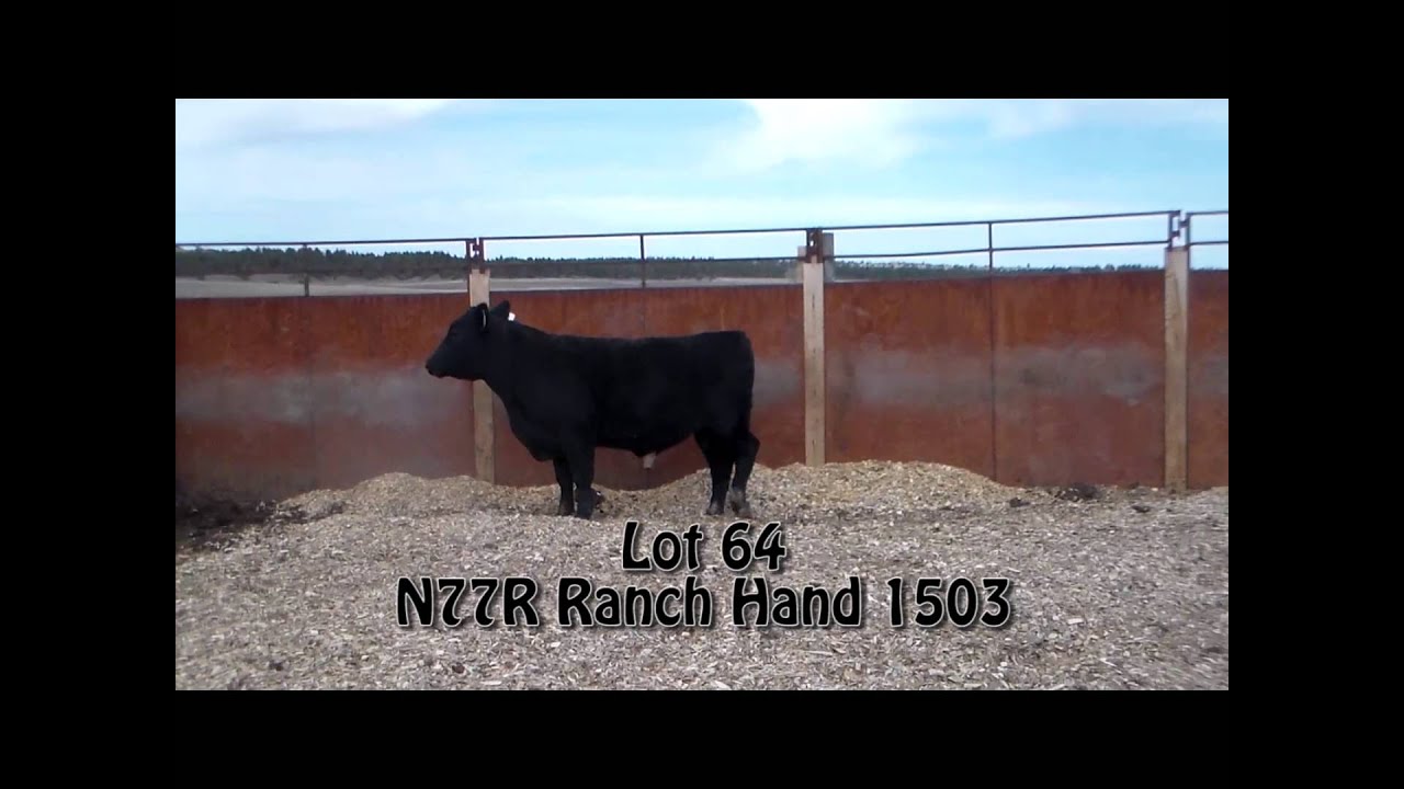 Lot 64 N77R Ranch Hand 1503 YouTube