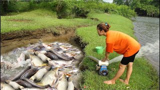 Full Videos : Fishing Techniques - Amazing Fishing Video, Wild Fishing Skills - Survival Skills